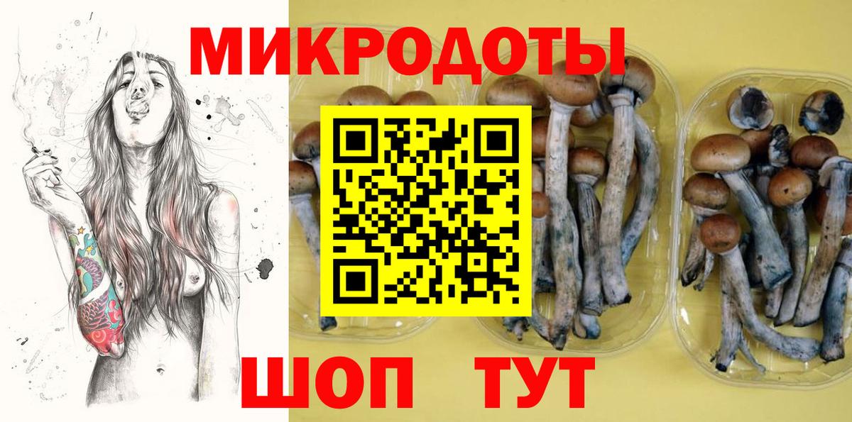 Менделеевск  Галлюциногенные грибы Psilocybine cubensis  Вход с VPN 