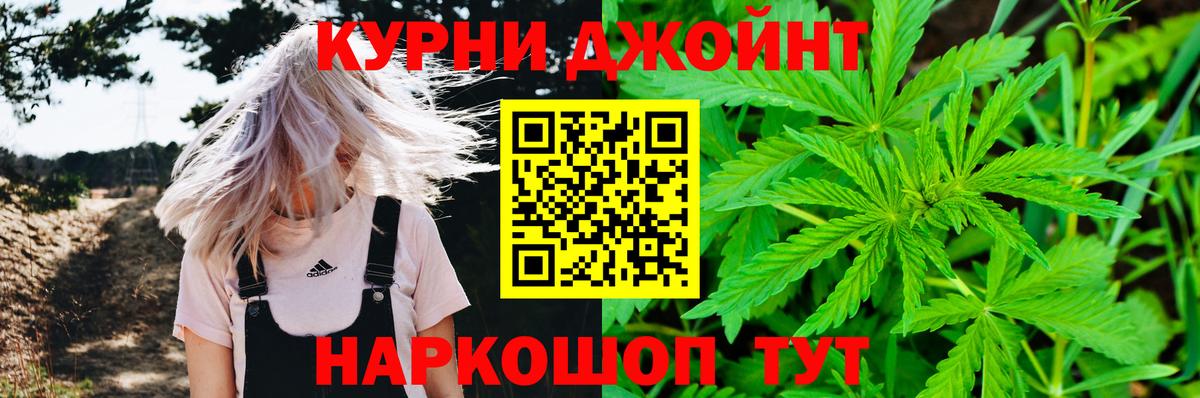 Канабис OG Kush Менделеевск